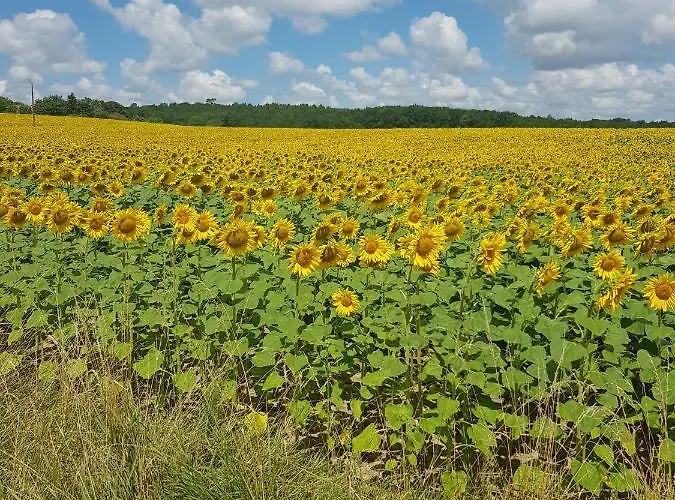 Le Vieux Couvent بيت للعطل